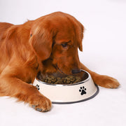 Stainless Steel Pet Food Bowl – Durable, Non-Slip Feeding Dish for Dogs & Cats