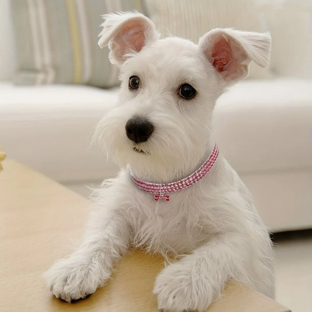 Bling Bone Pet Collar-Adjustable Necklace for Small Dogs and Cats-Cute and Fancy Accessory for Puppies-Adds Style and Glamour