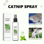 Cat Mint Spray