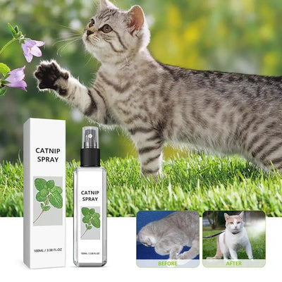 Cat Mint Spray