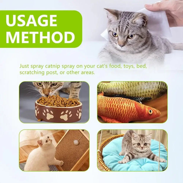 Cat Mint Spray